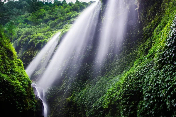 Madakaripura Waterfall-Deep Forest Waterfall — Stock Photo, Image