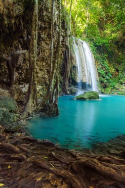 Erawan Şelalesi, Kanchanaburi, Tayland