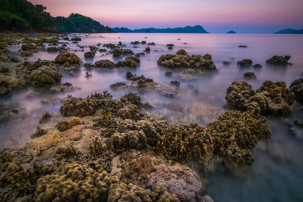 Roccia corallina intorno alla spiaggia durante la marea riflusso e il tramonto tempo largo sho — Foto Stock
