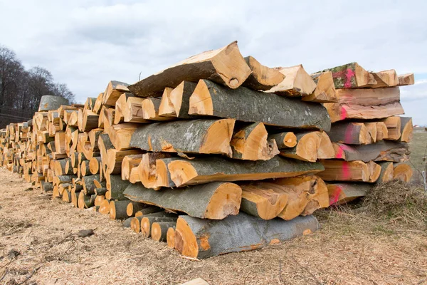 Section Beech Firewood Logs Stacked Top Each Other Pile — Stock Photo, Image