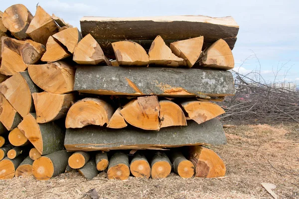 Section Beech Firewood Logs Stacked Top Each Other Pile — Stock Photo, Image