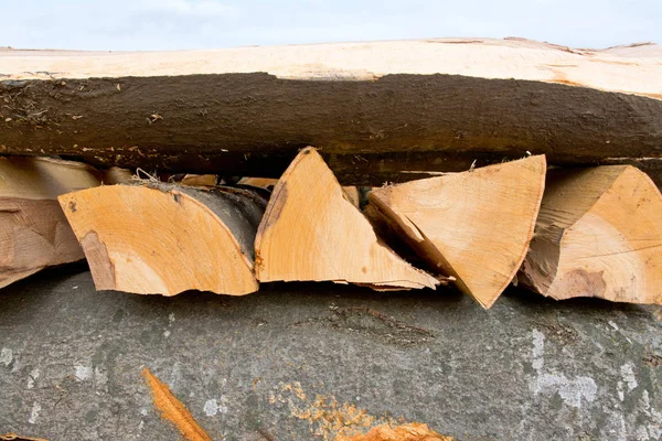 Section Beech Firewood Logs Stacked Top Each Other Pile — Stock Photo, Image