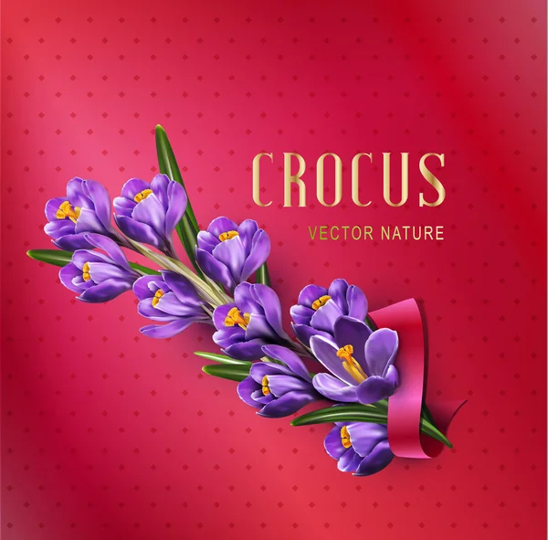 Gratulationskort med lila krokusar — Stock vektor