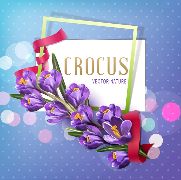 Vektor-Grußkarte mit lila Krokussen — Stockvektor