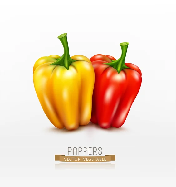 Twee rode en gele paprika paprika 's — Stockvector