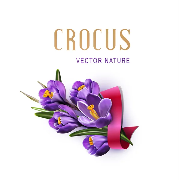 Vector gratulationskort med lila krokusar — Stock vektor