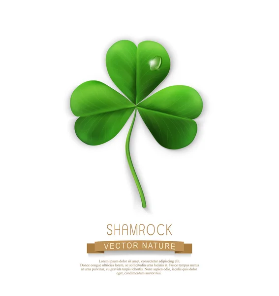Green shamrock leaf — Stock Vector