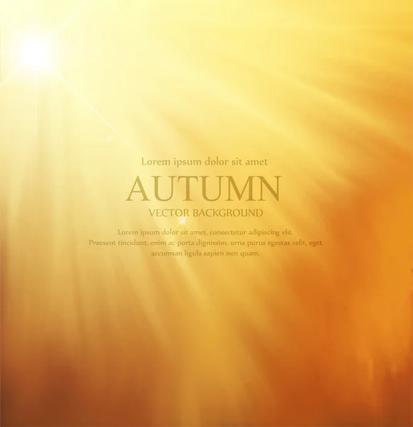 Autumn orange design card — Stock Vector
