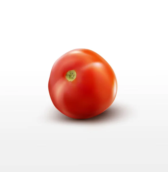 Rote frische Tomaten — Stockvektor