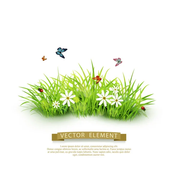 Flowers, butterflies and ladybugs — Stock Vector