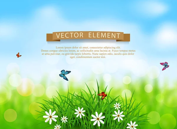 Fű, fehér virágok, pillangók — Stock Vector