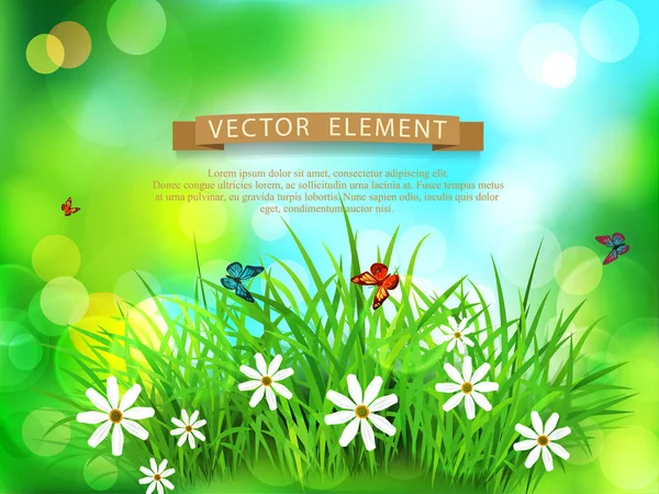 Vector element for design. Green grass with white flowers, butte — Stock Vector