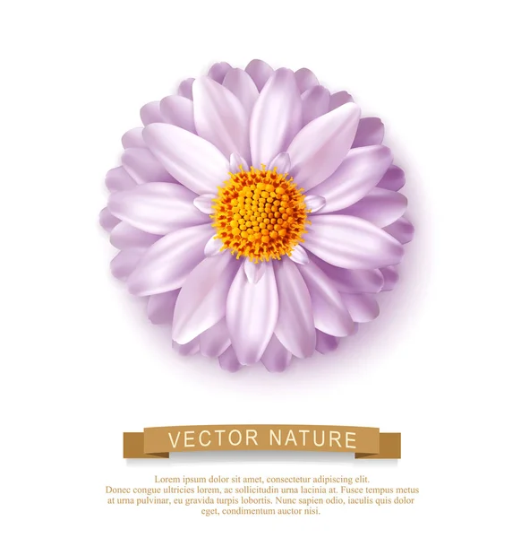 Rosa Vektorblume isoliert auf weißem Hintergrund. Element für ein f — Stockvektor