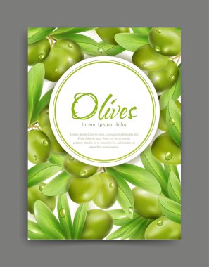 çerçeve yeşil zeytin ve yaprakları ile