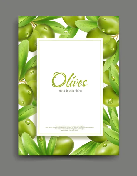 Frame met groene olijven en bladeren — Stockvector