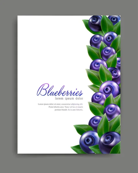 Illustration mit realistischen Blaubeeren — Stockvektor