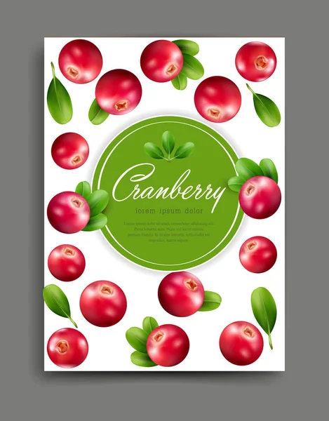 Ilustração com cranberries realistas — Vetor de Stock