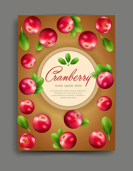Ilustração com cranberries realistas —  Vetores de Stock