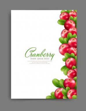 resimde gerçekçi cranberries ile 
