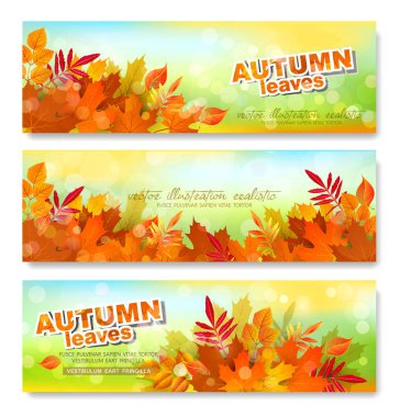  Afiş, şablon ile sonbahar