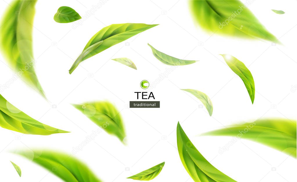  illustration with green tea leaves 