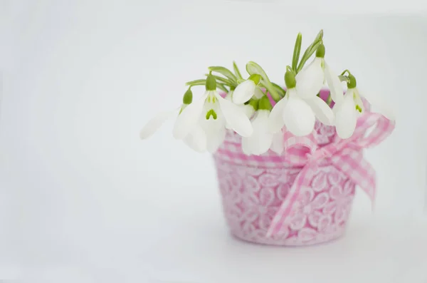 Gotas de neve em um vaso rosa com um arco, em um fundo cinza claro — Fotografia de Stock