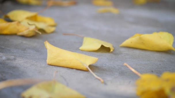 Balai balayant feuille d'automne sur passerelle en béton. Mouvement lent 