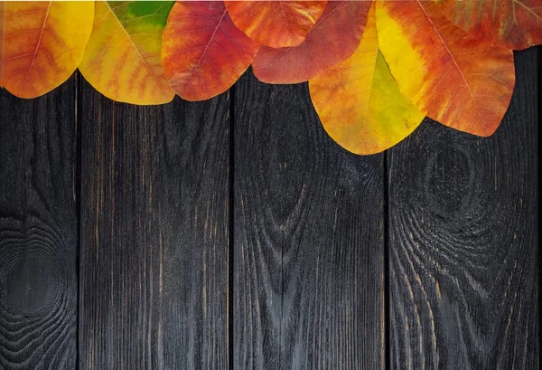 Herfst gele bladeren op een zwarte krachtige achtergrond. — Stockfoto