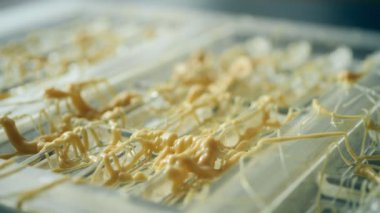Çikolata şekilleri yapıyorum. Beyaz çikolatayla dekore ediliyor. Fazla çikolatayı bir spatulayla çıkarıyorum. Ev yapımı pasta şefi..