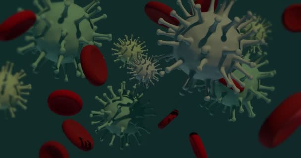 ไวรัสและฮีโมโกลบิน บนพื้นหลังที่มืด โคฟิด-19 2019-nCoV แพร่กระจาย วิดีโอสามมิติ การหมุน โรคระบาดและไวรัสระบาด แนวคิดเรื่องสุขภาพทางการแพทย์ แสดงผล — วีดีโอสต็อก