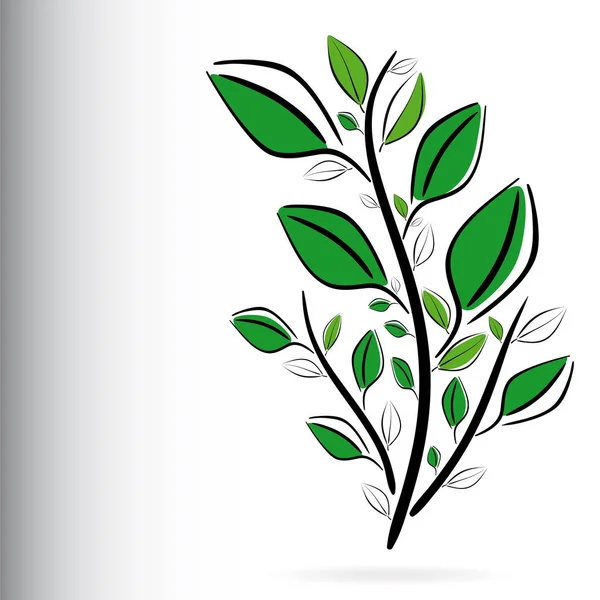 Fond floral décoratif avec plante verte — Image vectorielle