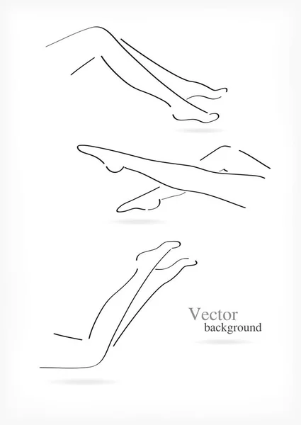 Female legs set. — Stock Vector