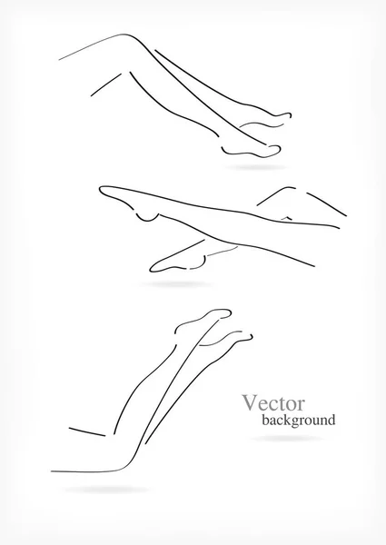 Vrouwelijke benen set. — Stockvector