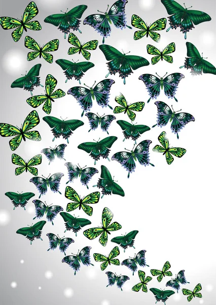 Green butterflies. Abstract background. — Stock Vector