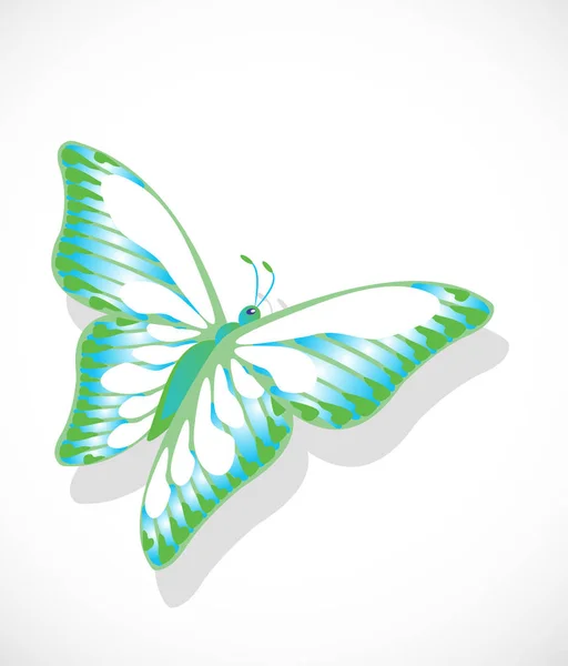 Colorful butterfly on white background — Stock Vector