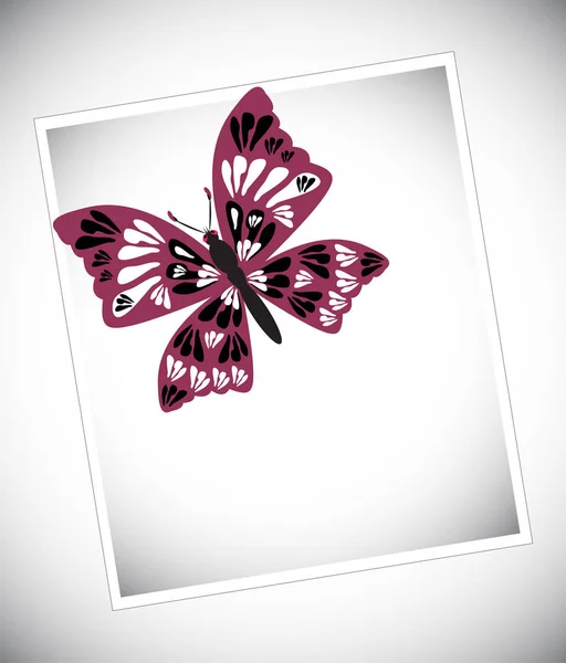 Colorful butterfly on white background — Stock Vector