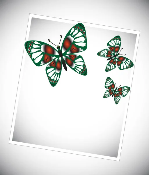 Набор красочных бабочек — стоковый вектор