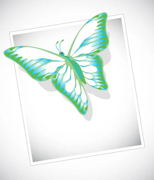 Colorful butterfly on white background — Stock Vector