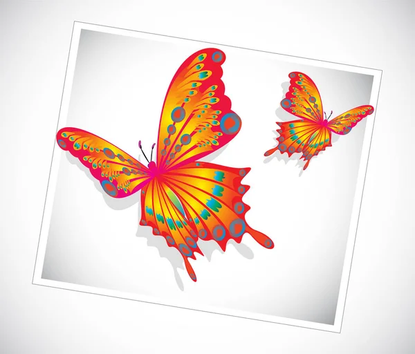 Set of colorful butterflies — Stock Vector