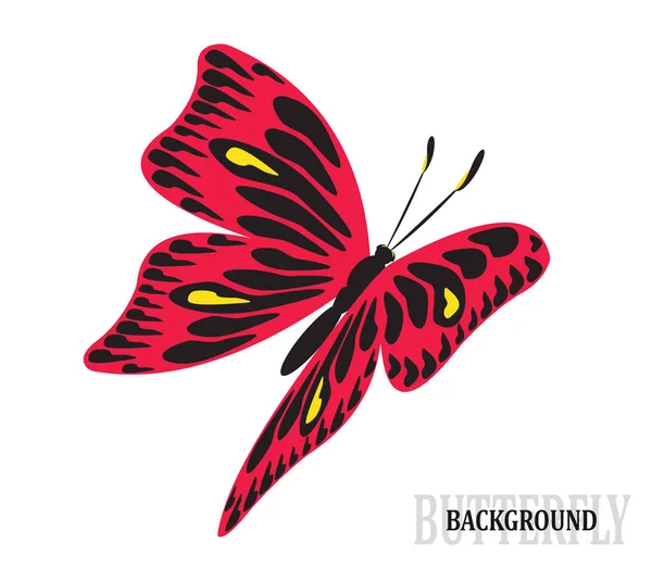 Красочная бабочка на белом фоне — стоковый вектор