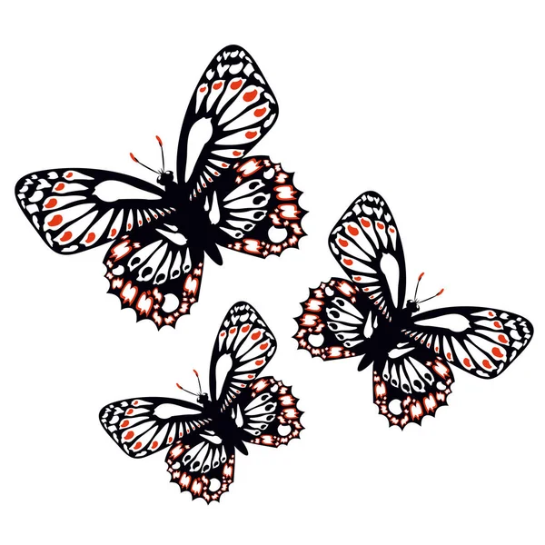 Set of colorful butterflies — Stock Vector
