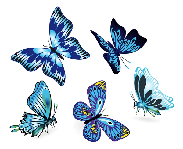 Set of blue butterflies — Stock Vector