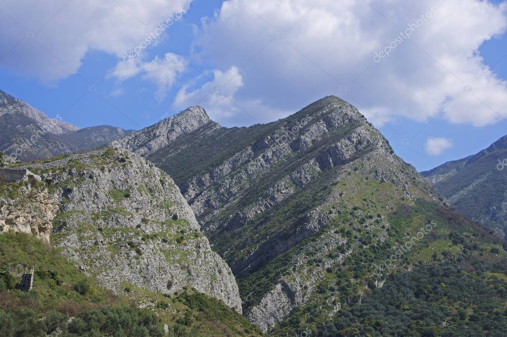 montegroov