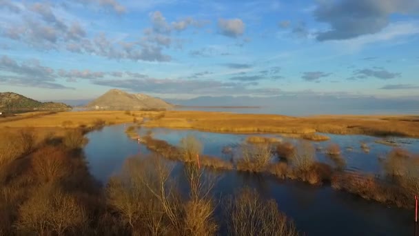 Latające nad Jezioro Szkoderskie i żółty trawy — Wideo stockowe