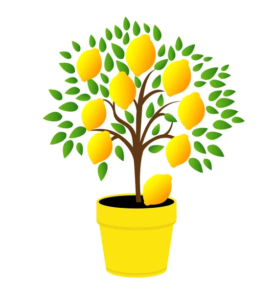 Sarı tencerede limon ağacı. — Stok Vektör