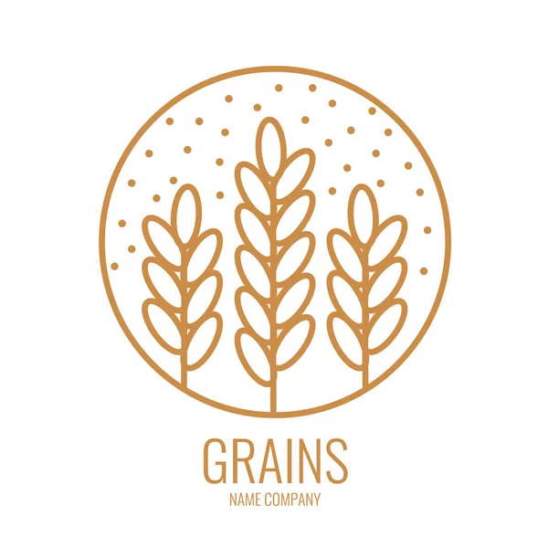 Icona lineare tre spighe di grano nel cerchio . — Vettoriale Stock