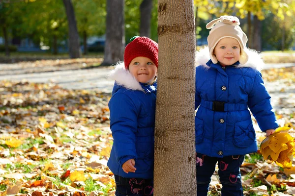 Söta flickor i höst park — Stockfoto