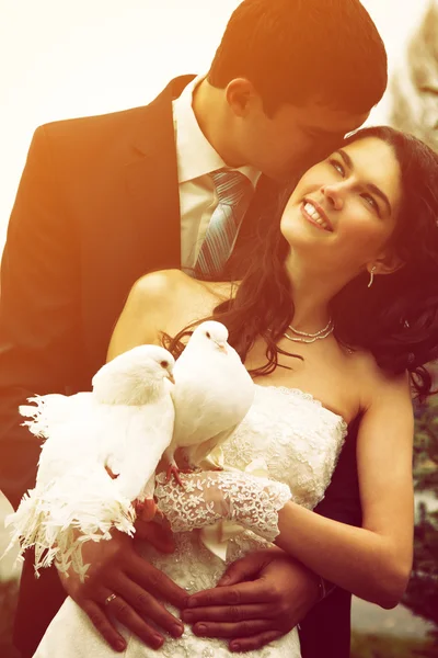 Düğün çift güvercinler ile Stok Fotoğraf