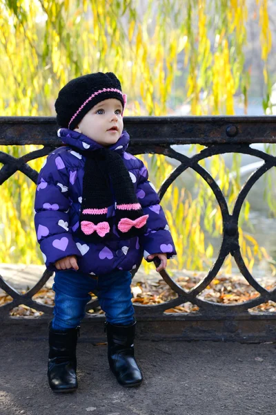 Schattig meisje in de herfst Park — Stockfoto