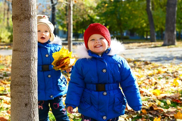 Söta flickor i höst park — Stockfoto